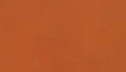 Veskestropp - Anse Festival Chene